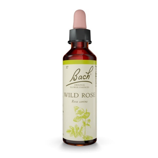 Fiori Di Bach Wild Rose 20ml
