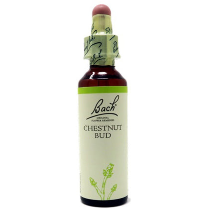 Fiori Di Bach Chestnut Bud 20ml