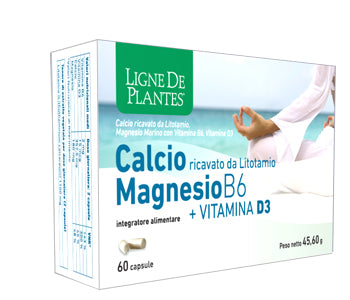 Calcio+magnesio B6+vitd3 60 Capsule