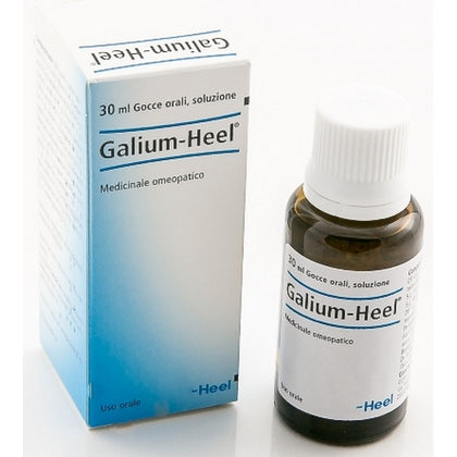 Galium Heel Gocce 30ml