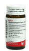 Berberis Hyper Comp 20g Gl Wal