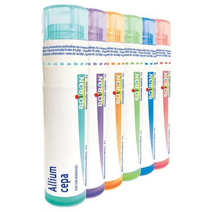 Allium Cepa 6ch Gr