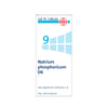 Sale Dr Schussler N.9 Natrium Phosphoricum D6