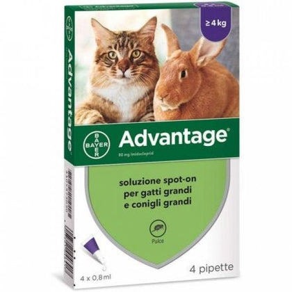 Advantage Spoton Gatti E Conigli Grandi 4 Pipette 0,8ml