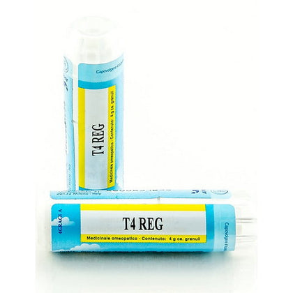 T4 Reg Gr 4g