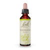 Fiori Di Bach Honeysuckle 20ml