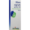 Ribes Nigrum Gemme 60ml Macerato Glicerico