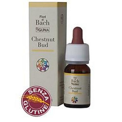 Chestnut Bud Gocce 10ml