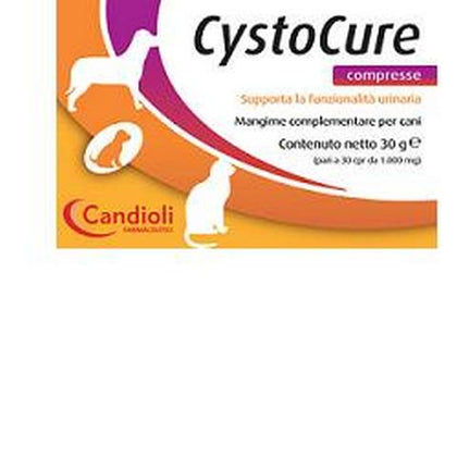 Cystocure Forte 30g