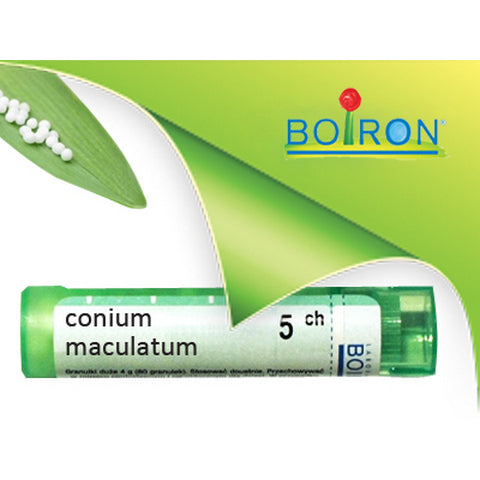 Conium Maculatum 5ch Gr
