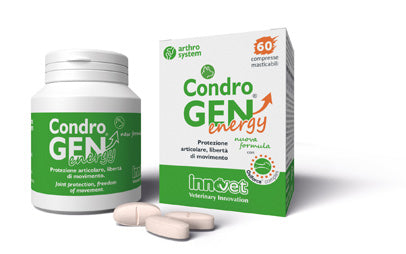 Condrogen Energy 60 Compresse Mastic