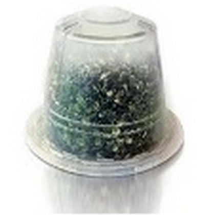 Te' Limone 10 Capsule Cellini Promo Speciale Guarda Scheda