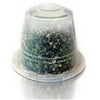 Te' Limone 10 Capsule Cellini Promo Speciale Guarda Scheda