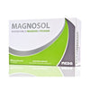 Magnosol Integratore Di Magnesio E Potassio 20 Bustine Effer