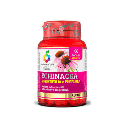 Echinacea 60 Capsule Colours