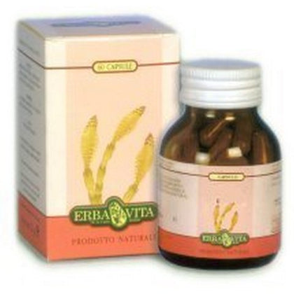 Spirea Ulmaria 60 Capsule 400mg