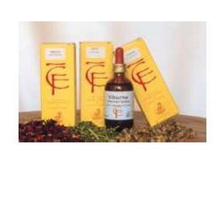 Tiglio Gemme 100ml Mg