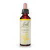 Fiori Di Bach Cerato 20ml