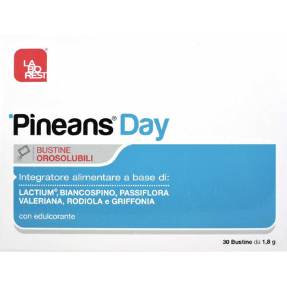 Pineans Day 30 Buste