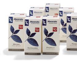 Tarassaco 100ml Tm
