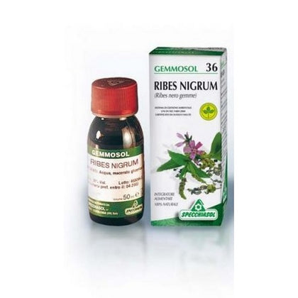 Gemmosol 36 Ribes Nero 50ml