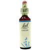 Fiori Di Bach Chicory 20ml