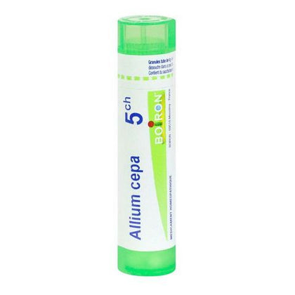 Allium Cepa 5ch Gr