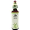 Fiori Di Bach Olive 20ml