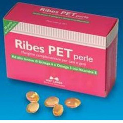 Ribes Pet 30 Perle