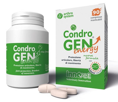 Condrogen Energy 90 Compresse Mastic