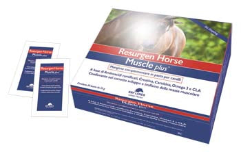 Resurgen Horse Muscle Pl60 Buste