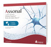 Assonal 14 Buste