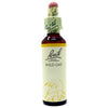 Fiori Di Bach Wild Oat 20ml