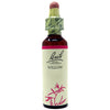 Fiori Di Bach Willow 20ml